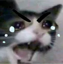 AAAAAAAAA