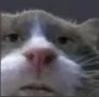 Spy_tfisthisshit_OwO