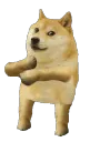 doge