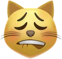 catlipbite