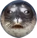 FatSeal FatSeal