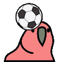 headingparrot