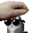 alpha_pet
