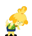 belledance
