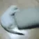 catSpin