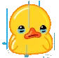 duck_cry