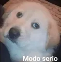 modoserio