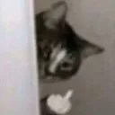 jangoscat Discord Emoji