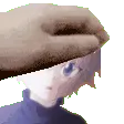SA_Pet_Jyzon