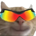 wickedcat