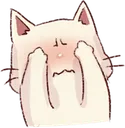 FCBlush