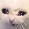 Wey_Nooooo
