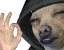 AP_gdawgokbro Discord emoji