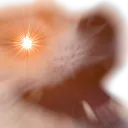 ultraberk