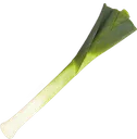 leek