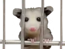JailTime