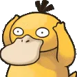 notlikeducka notlikeducka