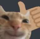 CatGood