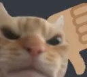 CatBad