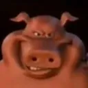 PigSus