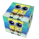SpugnCube