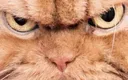 DeathStare