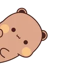 BearPeek