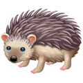 hedgie