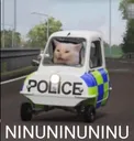 cat_police