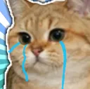 Cryingcat cryingcat Discord Emoji