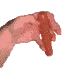 sausage