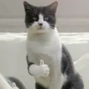 Catthumbsup catthumbsup Discord Emoji