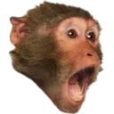 MonkePog