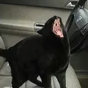 AAAAHhhhhh