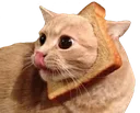 catBread