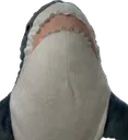 blahaj2
