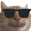 swagcool