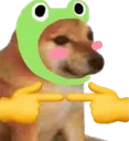 frogdog