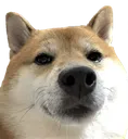 who
