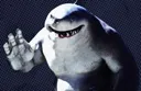 IsaShark IsaShark