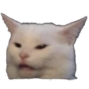 meme_catto meme_catto