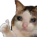 cry_catto cry_catto