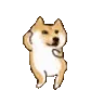doge_dance