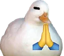 prayduck