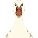 GooseStare