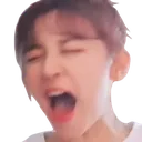 yuqiscreaming yuqiscreaming
