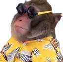 DripMonkey DripMonkey