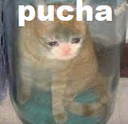 pucha Discord emoji