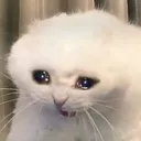 aaaa