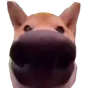 SNOOGEY